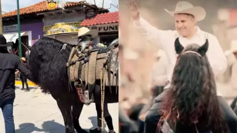 Carlos Manzo caballo Copetudo cabalgata por la paz