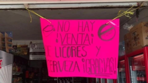 leyseca-elecciones (1).jpg