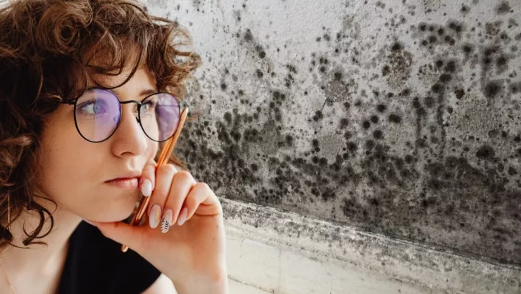 Con estos trucos podrás deshacerte de la humedad de las paredes de tu hogar.jpg