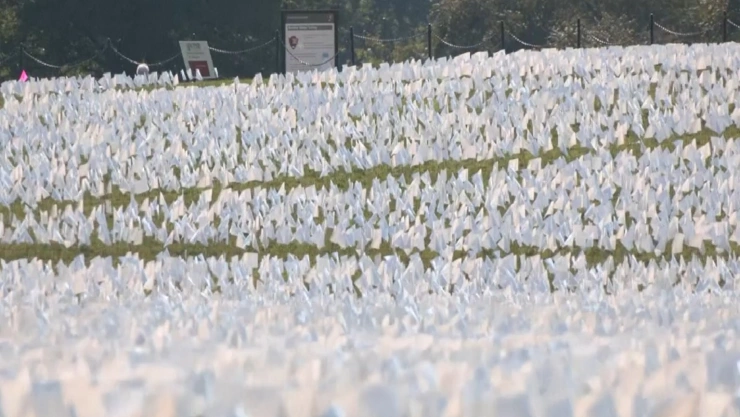 650 mil banderas dedicadas a los muertos de COVID en EUA.