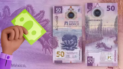 ¿Cuál es el billete del ajolote que se vende en 5 millones_.jpg