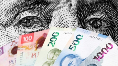 Precio del dólar HOY domingo 25 de mayo de 2025 en Yucatán: ¿En cuánto cerró la moneda americana?