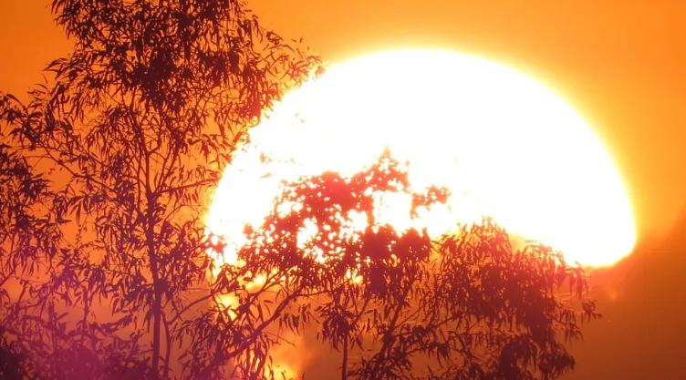 ¿Cuántos días dura la primavera 2026 en México? Equinoccio, inicio, cuánto dura y cuándo termina