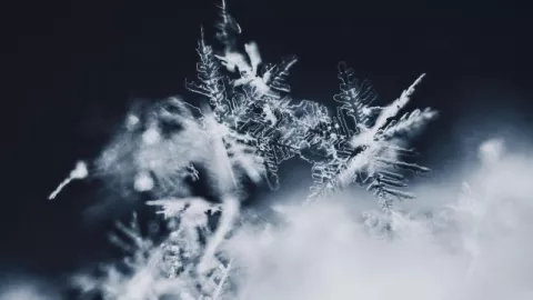 SMN pronostica amenaza de lluvia engelante y temperaturas bajo cero en Zacatecas: ¿qué es y cómo afecta este fenómeno?