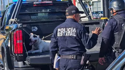 Último momento_ Ataque de perro deja a una estudiante de 22 años severamente herida