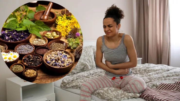 ¿Qué plantas medicinales son buenas para los problemas digestivos?