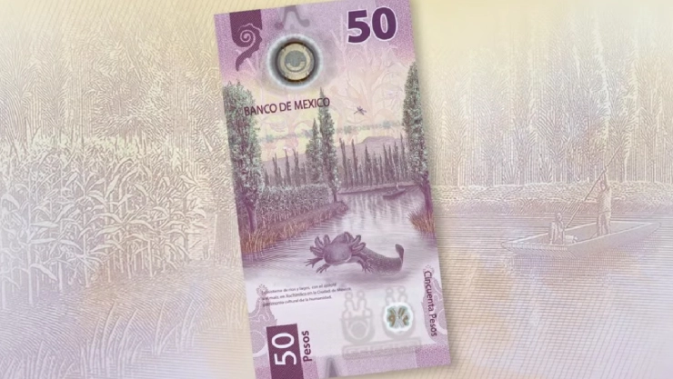Nuevo billete 50 pesos