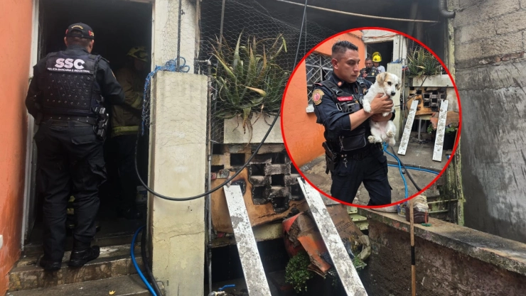 Policías de CDMX salvan a dos perritos tras incendio en casa.
