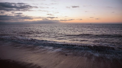 Playas contaminadas de Jalisco y México verano 2025.jpg