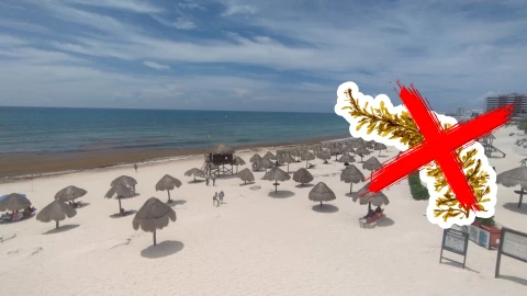 Playas libres de sargazo en Quintana Roo este 27 de julio de 2025_ Lista desde Holbox, Cancún y hasta Tulum.jpg