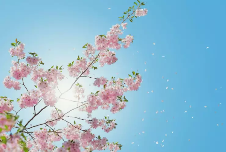 Clima HOY 27 de marzo: Se esperan altas temperaturas en Quintana Roo