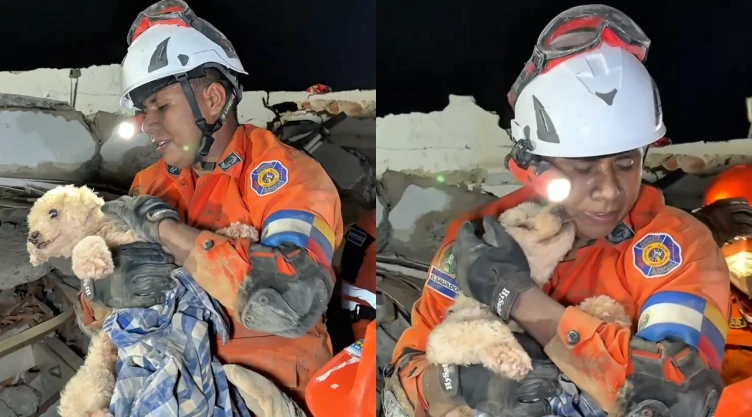 Besos de agradecimiento: Así reaccionó la perrita Giselle tras haber sido rescatada de los escombros en Venezuela