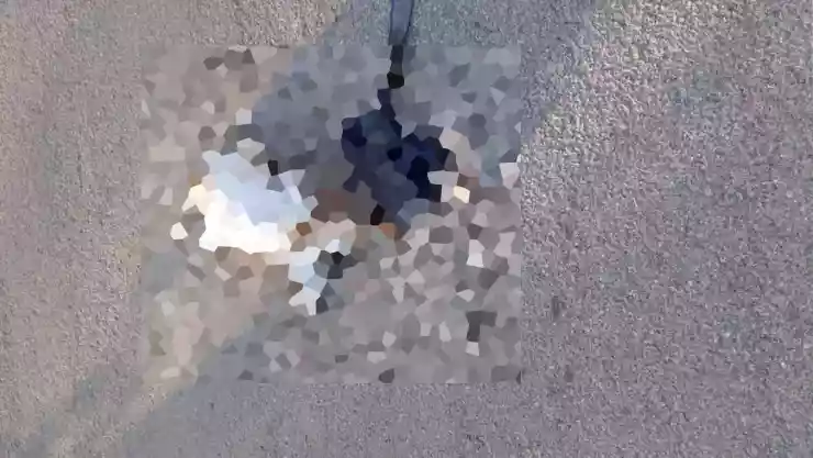 FOTOS_ Perro callejero es hallado SIN VIDA dentro de una BOLSA en Tekax, en un nuevo caso de maltrato animal