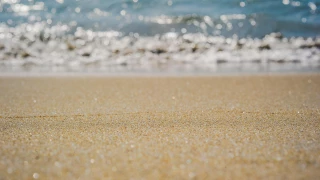 Niño de 2 años muere tras picadura de animal.png