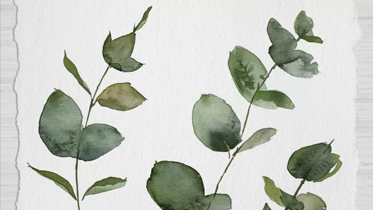 /estilo-de-vida/que-infusion-puede-ayudarte-respirar-mejor-resfriado