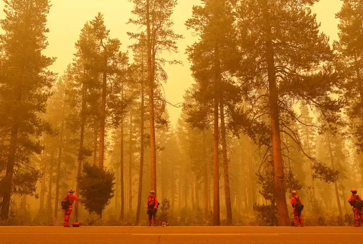 onu-cambio-climático-alerta-incendios