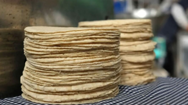 Tortillas de maíz.jpg