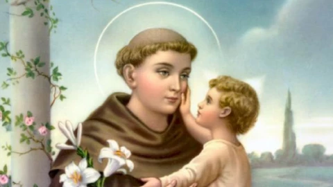 día de san antonio de padua