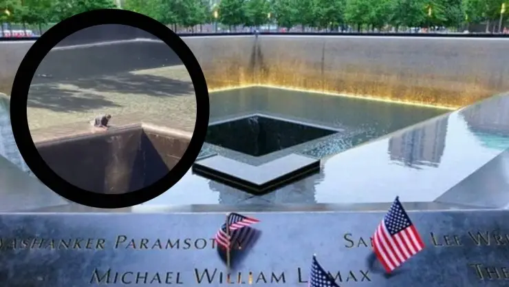 Hombre saltó al estanque del Memorial del 11 de septiembre en Nueva York