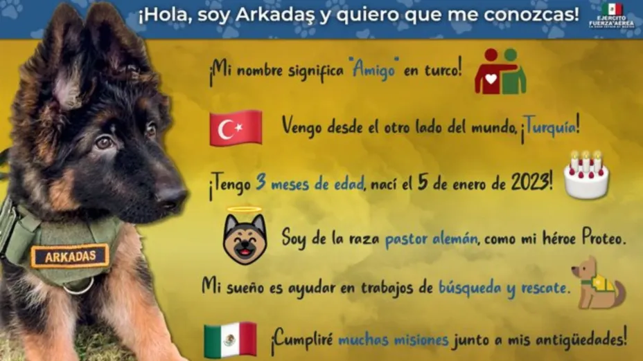 Arkadas1.jpg