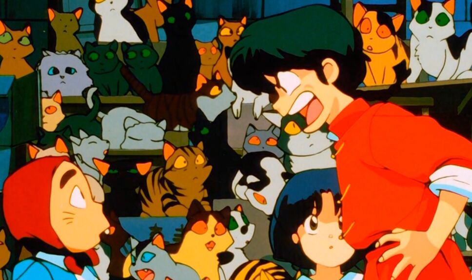 ranma terror gatos