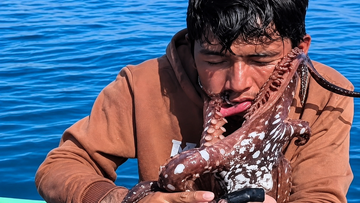 Pulpo se resiste a ser pescado por influencer Jay Tamula