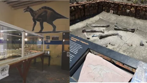 General Cepeda, en Coahuilla, es un lugar perfecto para conocer paisajes nuevos y sumergirse en la paleontología.