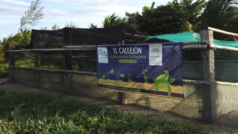 Campamento Tortuguero El Callejón
