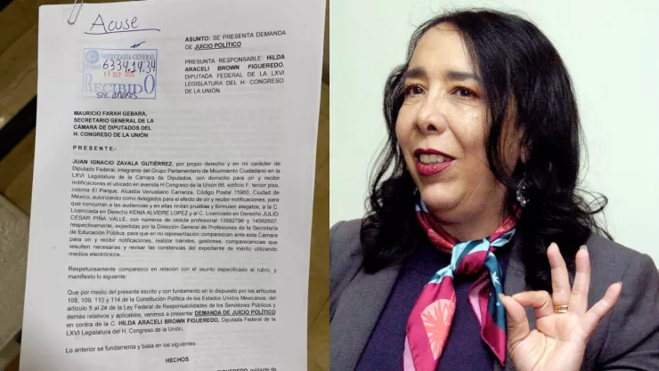 Diputada Hilda Araceli Brown Figueredo