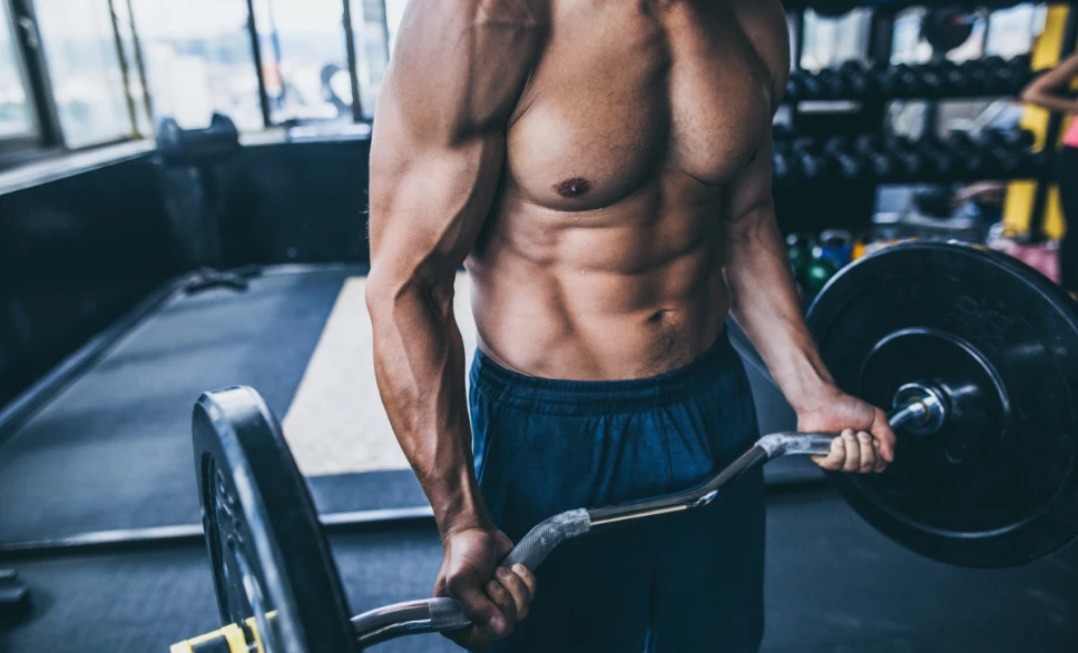 Masa muscular