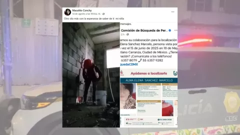 Familiares compartieron la búsqueda de Alma Elena, junto a un video en donde se le observa en labores de construcción