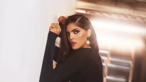 Ana Bárbara tuvo un fuerte accidente y apareció usando silla de ruedas