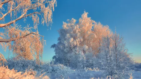 ¿Cómo será el clima en Aguascalientes durante el invierno 2025 Esto dice el pronóstico