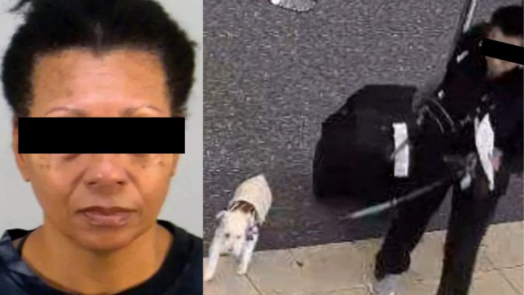 Arrestan a mujer por ahogar a su perro en un aeropuerto.