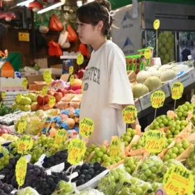 El oscuro mundo del contrabando de semillas y la innovación: guerras encubiertas por las frutas en Asia