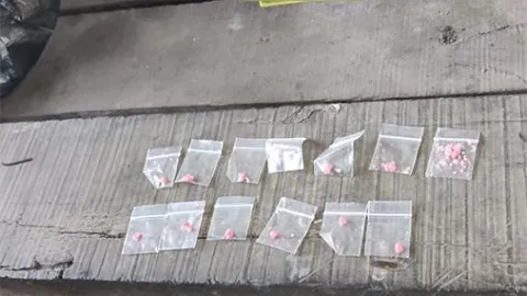 FGE cumple orden de cateo y aseguran drogas en Quintana Roo