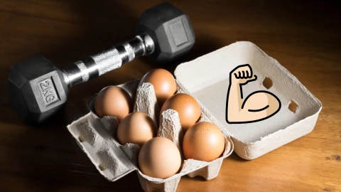 El huevo es una fuente importante de proteína para el desarrollo de la masa muscular