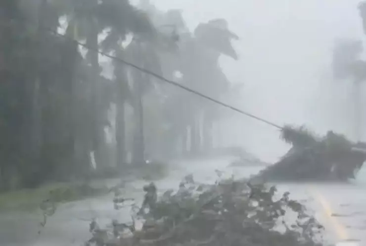 Tornado previo a la llegada del huracán Milton ocasiona muertes en casa de retiro de Florida.jpg