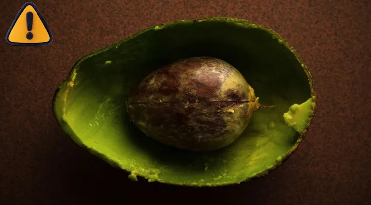 No las tires 3 usos increíbles de la cáscara del aguacate para tu casa y jardín.jpg