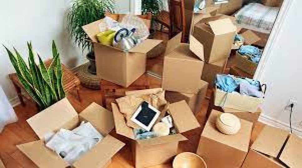 año nuevo según el feng shui