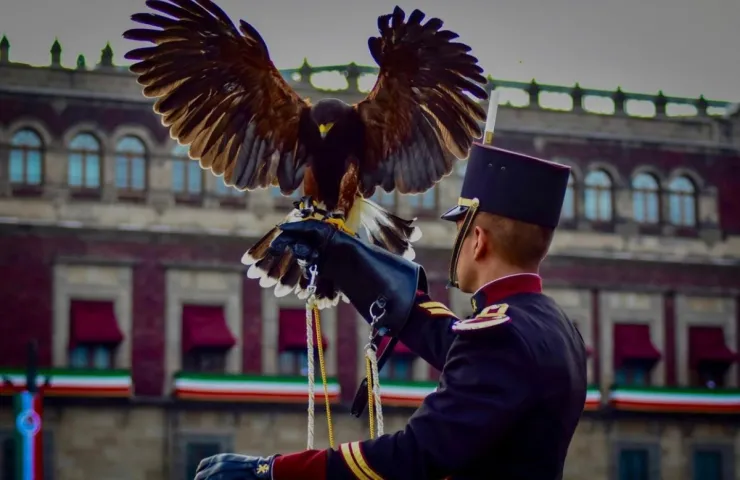 Fuerzas Armadas elementos México