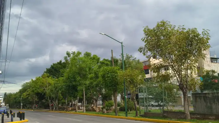 clima
