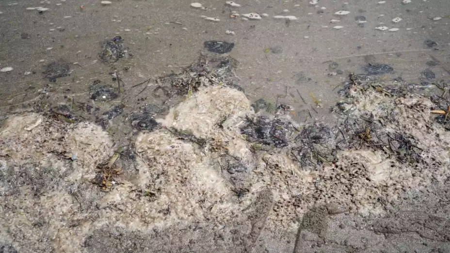 Derrame Golfo (1).jpg