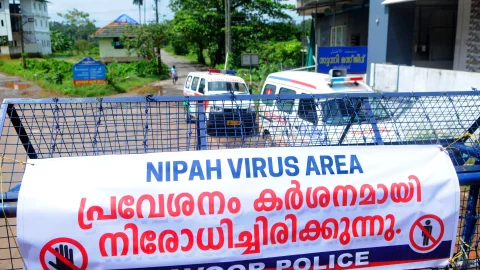 Virus Nipah