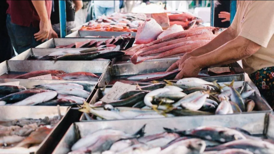 pescaderiaok_Oceana.jpeg