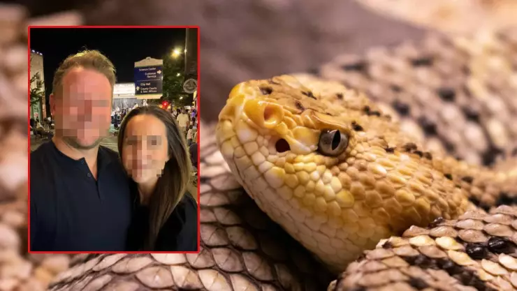 mordedura de serpiente