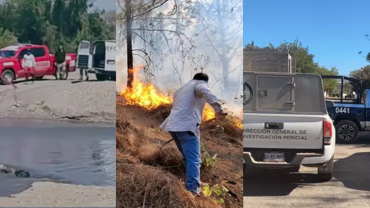 Noticias HOY 30 de marzo en Sinaloa