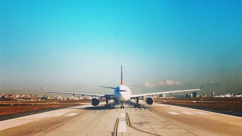 Esta fue la razón por la que una RATA provocó un aterrizaje de emergencia; ¡No creerás lo que pasó!