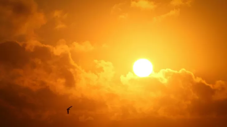Clima en Aguascalientes ¿Cuál será la temperatura máxima por tercera ola de calor