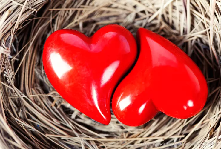 que-es-amor-líquido-en-que-consiste-nueva-forma-se-relacionan-las-parejas